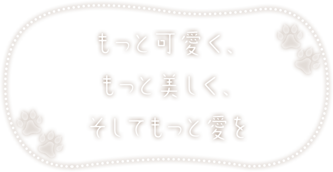 もっと可愛く、 もっと美しく、 そしてもっと愛を