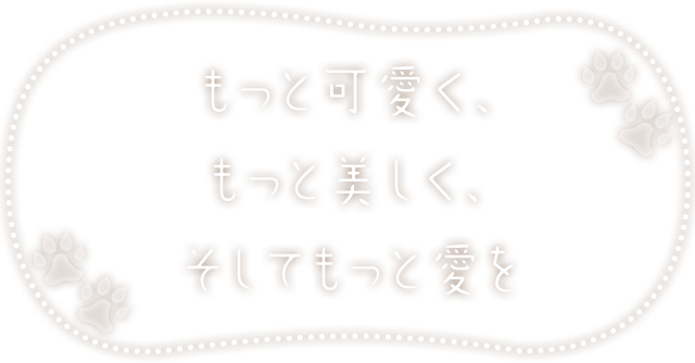 もっと可愛く、 もっと美しく、 そしてもっと愛を